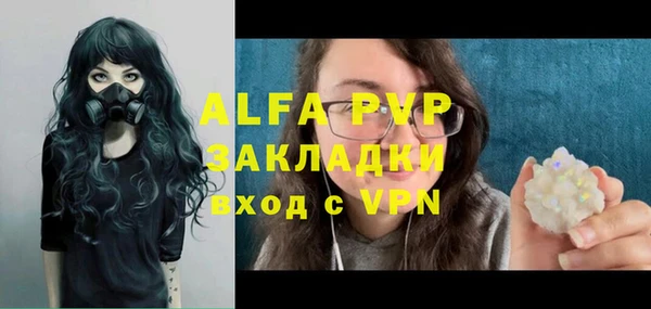 гашиш Богданович