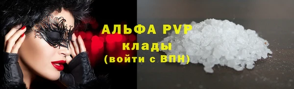 гашиш Богданович